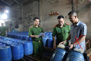 Bắc Giang: Khởi tố chủ cơ sở sản xuất 60 tấn giá đỗ dùng 6-Benzylaminopurine kích thích tăng trưởng