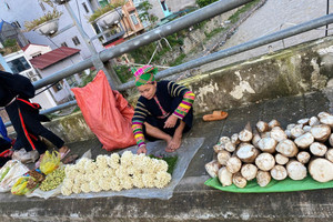 Đừng mua thực phẩm bằng niềm tin