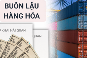 Doanh nhân dùng 'kịch bản' buôn lậu tinh vi, thu lợi 210 tỷ đồng