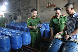 Khởi tố chủ cơ sở sản xuất 60 tấn giá đỗ 'ngậm' chất kích thích tăng trưởng