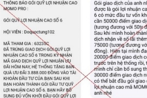 'Sập bẫy' đầu tư MoMo Pro giả mạo, người đàn ông ở Hà Nội mất hơn 300 triệu