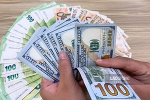 Tự ý mua, bán USD sẽ bị phạt đến 100 triệu đồng