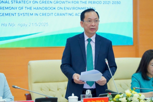 Tín dụng xanh tăng tốc chóng mặt: Tăng trưởng trung bình 21%/năm, gấp đôi tín dụng truyền thống