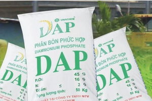 DAP Vinachem (DDV) báo lãi lớn nhờ trực tiếp xuất khẩu, chuẩn bị chi 131 tỷ đồng trả cổ tức