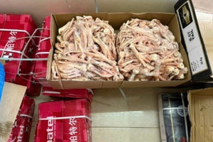 Chặn đứng hơn 3 tạ tim lợn, đuôi bò, chân gà đông lạnh không rõ nguồn gốc tại thành phố Thái Bình