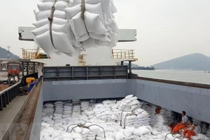 Giá gạo Việt hồi phục, nền kinh tế lớn thứ 2 thế giới bất ngờ tăng nhập khẩu