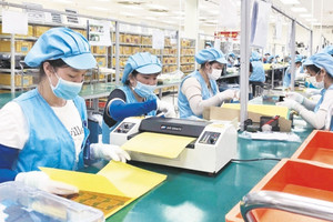 Chuyên gia hiến kế vực dậy doanh nghiệp giữa cơn bão thuế quan