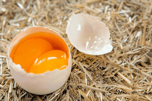Đề nghị Bộ Công an điều tra, xử lý tin đồn trứng giả gây hoang mang