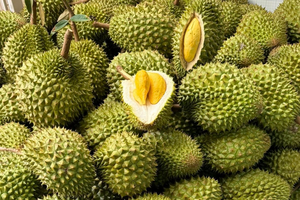 Sầu riêng Việt Nam bất ngờ nhận tin vui lớn từ Trung Quốc
