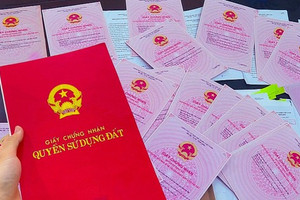 Từ bây giờ, sổ đỏ bị ố, rách, nhòe chữ, hư hỏng sẽ phải xử lý thế nào?