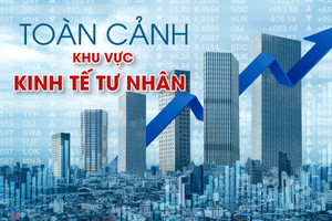 Toàn cảnh khu vực kinh tế tư nhân