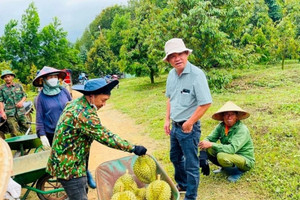 Sở hữu 2.000ha loại cây siêu lợi nhuận, Hoàng Anh Gia Lai (HAGL) của bầu Đức đón tin vui từ Thủ tướng