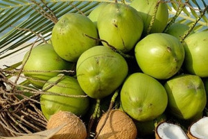 Trái cây toàn năng của Việt Nam tăng giá kỷ lục, Mỹ và Trung Quốc đổ xô thu mua