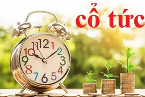 Lãi gấp 8 lần cùng kỳ, một doanh nghiệp logistics chốt quyền nhận cổ tức tỷ lệ 15%