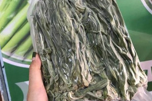 Loại rau từng bị bỏ quên ven đường y như nắm cỏ, nay giá hơn 500.000 đồng/kg mà tranh nhau để mua