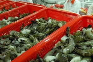 Một 'mỏ vàng dưới nước' vừa mang về cho Việt Nam hơn 1,3 tỷ USD: Mỹ, Trung Quốc đua nhau săn lùng