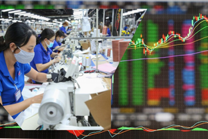 Một câu nói của ông Trump khiến cổ phiếu ngành xuất khẩu 3,78 tỷ USD của Việt Nam tăng kịch trần