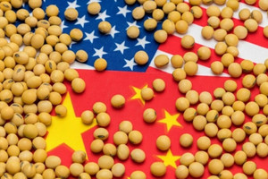 Nông dân Mỹ rơi vào thảm cảnh khi Trung Quốc khóa van nhập khẩu loạt mặt hàng chủ lực