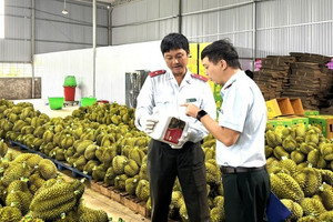 EU sắp thanh tra sầu riêng Việt Nam