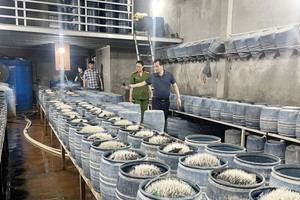 Ngâm ủ giá đỗ bằng chất cấm pha nước vôi rồi 'tuồn' ra thị trường gần 350 tấn