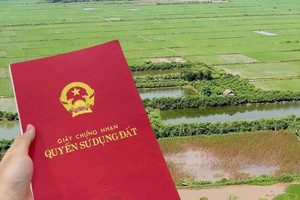 Từ bây giờ, có trường hợp sẽ được miễn thuế và lệ phí khi chuyển đổi đất nông nghiệp