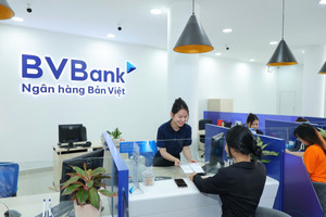 BVBank (BVB) chào bán 20 triệu cổ phiếu ESOP, giá rẻ hơn 25% so với thị giá