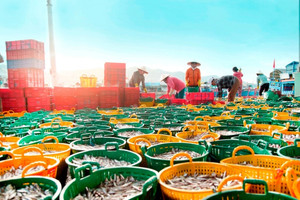 Phó Thủ tướng chỉ ra điều kiện tiên quyết để phát triển bền vững kinh tế biển