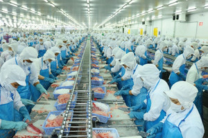 Doanh nghiệp xuất khẩu cá tra duy nhất không bị Mỹ áp thuế, đơn hàng dự báo dồn dập trong quý II