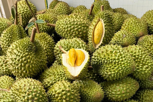 Sầu riêng bị Trung Quốc trả về, DN gửi thẳng lên Thủ tướng một chuyện bất thường