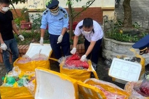 Kho lạnh chứa hơn 25 tấn mực, sách bò, chân gà hôi thối ở Quảng Ninh