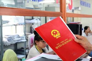 Theo Luật mới nhất, đất không giấy tờ ở bao nhiêu năm thì được cấp sổ đỏ?