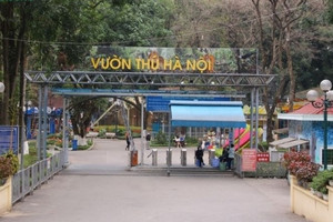 Là vườn thú duy nhất tại Hà Nội, Thủ Lệ 'hốt bạc' gần 48 tỷ nhờ bán vé vào cổng