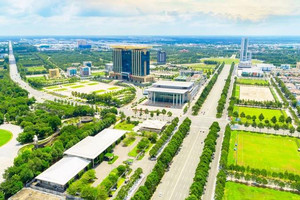 Thấy gì ở nơi 'đại bàng' làm tổ?