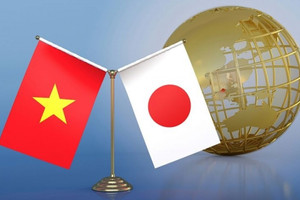 Phó Thủ tướng muốn hợp tác sâu trong một lĩnh vực đặc biệt với tập đoàn hoá học lớn nhất Nhật Bản