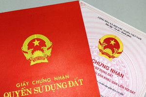 Sổ đỏ hộ gia đình, con dâu từng góp tiền sửa nhà có được chia thừa kế không?