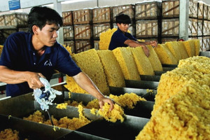 Toàn thế giới khan hiếm, Việt Nam tăng tốc xuất khẩu một mặt hàng: Mục tiêu đạt 11 tỷ USD năm 2025