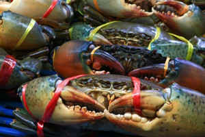 Một mặt hàng Việt xuất khẩu thành công khắp các thị trường, trừ Mỹ