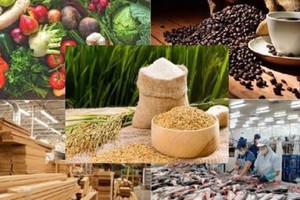 Bộ trưởng cùng gần 50 doanh nghiệp sang Mỹ tìm hiểu cơ hội xúc tiến thương mại