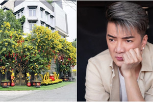 Đàm Vĩnh Hưng bất ngờ thừa nhận cần tiền, rao bán biệt thự triệu đô ở 'khu đất vàng'