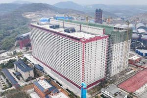 Việt Nam dự kiến có ‘chung cư’ 6 tầng đầu tiên dành cho heo