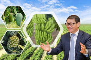 THACO AGRI của ông Trần Bá Dương ôm quỹ đất 84.000ha trải khắp Việt Nam, Lào, Campuchia, kỳ vọng sắp lãi lớn