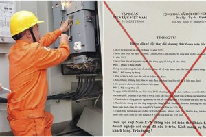 Tập đoàn Điện lực Việt Nam cảnh báo