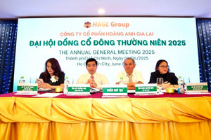 Bài toán trung hòa lợi ích ở HAGL: Bầu Đức cần thêm hai 'cái gật đầu' để xử lý 4.000 tỷ đồng nợ vay