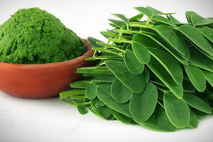 Loại rau bình dân chợ Việt bán 30.000 đồng/kg, công dụng chống oxy hóa ăn đứt trà xanh