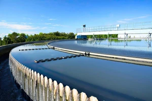 Chuyển đổi xanh: 'Nếu không đạt chuẩn, doanh nghiệp sẽ bị loại khỏi sân chơi'