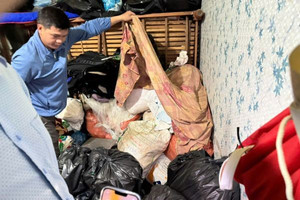 Khám xét khẩn cấp, bắt Trương Thị Bé