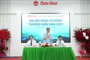 Lợi nhuận giảm 37%, cổ tức vẫn duy trì 50% tiền mặt: Rạng Đông có đang đặt cược vào niềm tin cổ đông?