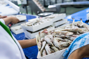 23 doanh nghiệp Việt bị Mỹ áp thuế CBPG sơ bộ hơn 35% trong đợt rà soát lần thứ 19