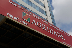 Agribank đấu giá khoản nợ hơn 160 tỷ đồng, thế chấp bằng 3.500 ha rừng keo tại Hòa Bình