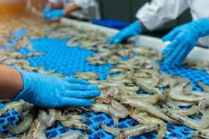 Một mặt hàng của Việt Nam bất ngờ bị Mỹ áp thuế chống bán phá giá lên tới 35%, cao nhất trong 19 năm qua